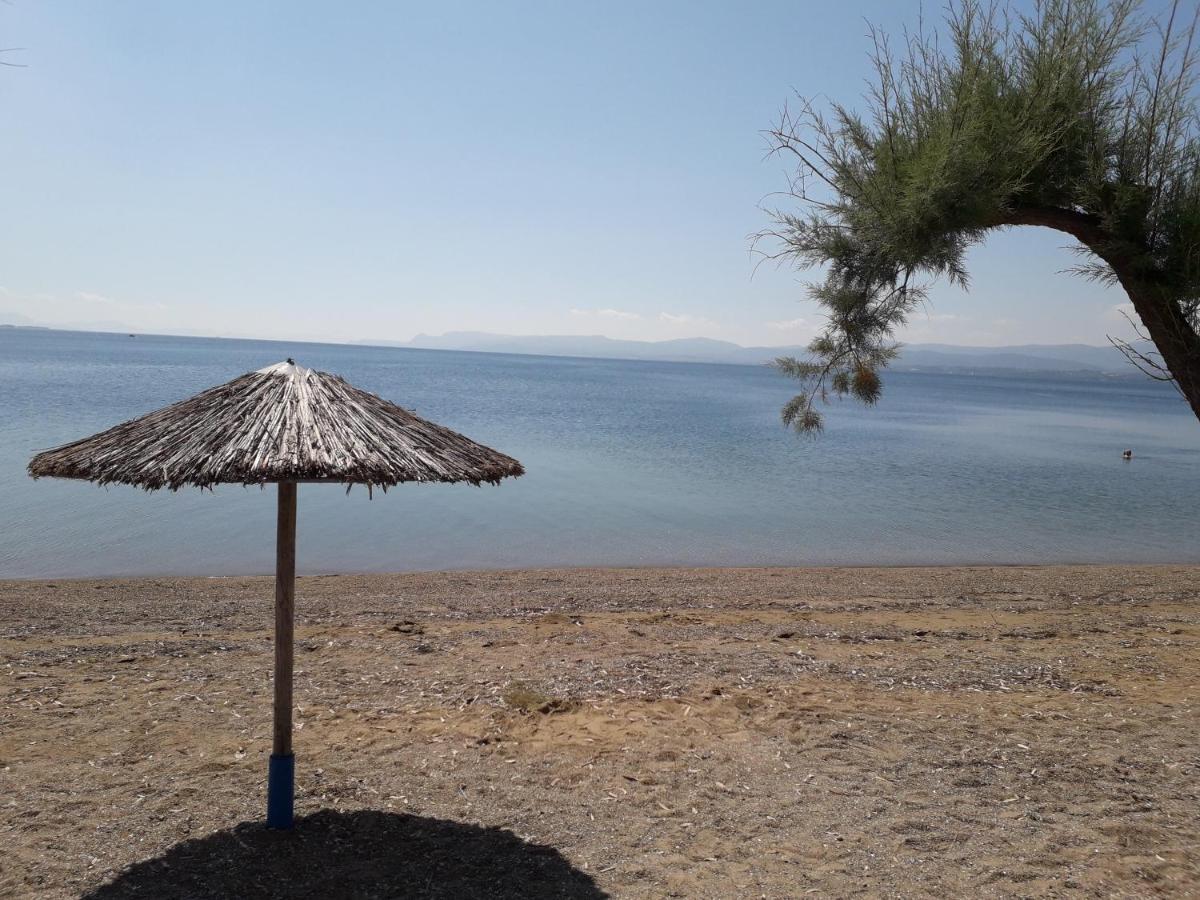 Poseidon Hotel Lefkandi Chalkidas Buitenkant foto
